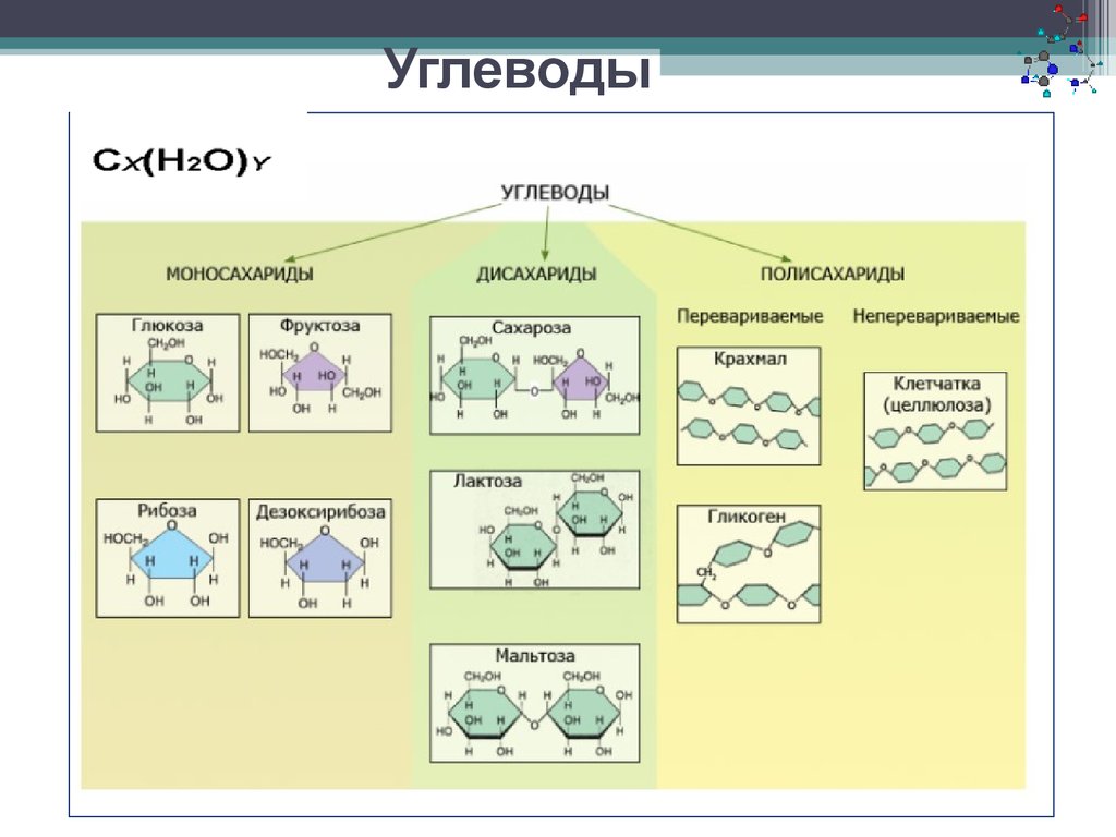 Углеводы схема строения