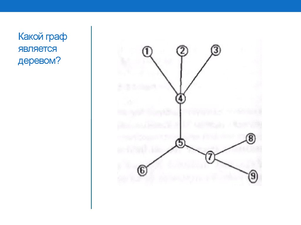 Одинаковые графы изображенные на рисунке. Графы деревья. Какие из графов являются деревьями.