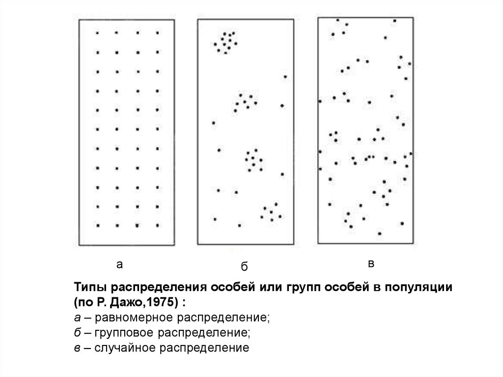 Типы распределения. Случайное распределение особей. Типы распределения особей. Равномерное распределение особей. Типы распределения особей в популяции.