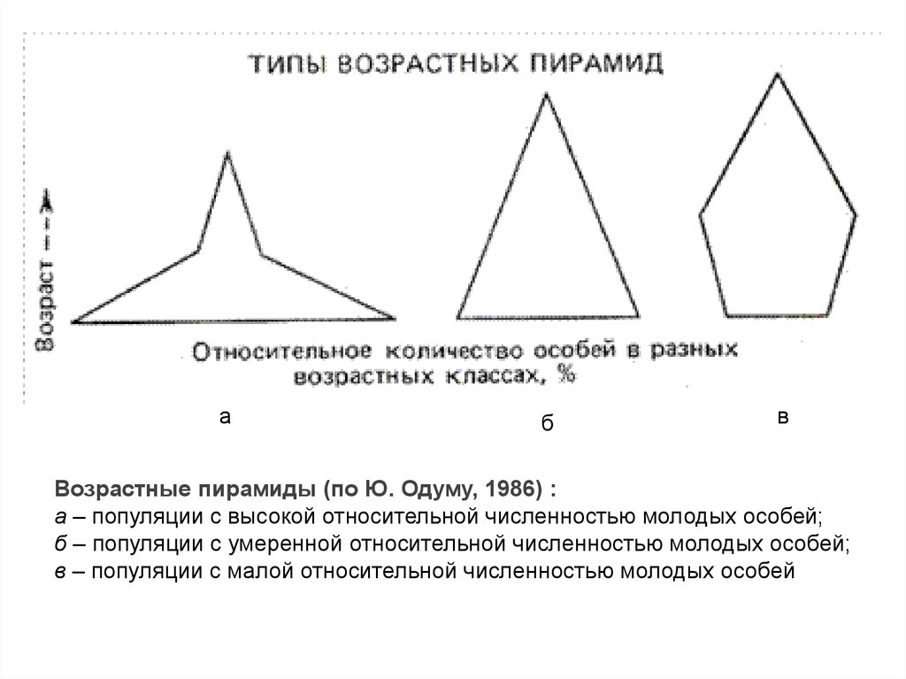 Возраст пирамид. Возрастная пирамида популяции. Типы возрастных пирамид популяции. Типы возрастных пирамид. Пирамида возрастов это в экологии.