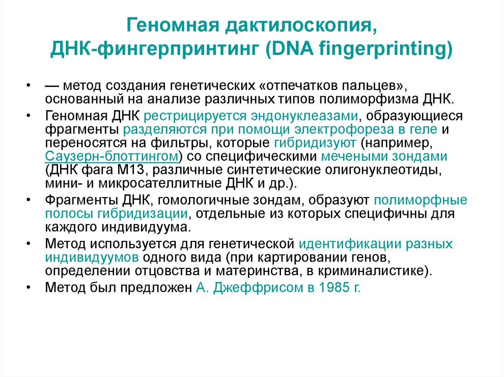 Дактилоскопия как метод получения и анализа информации презентация