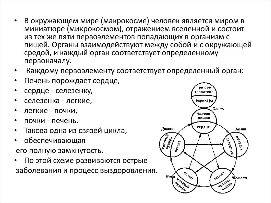 У-Син - презентация онлайн