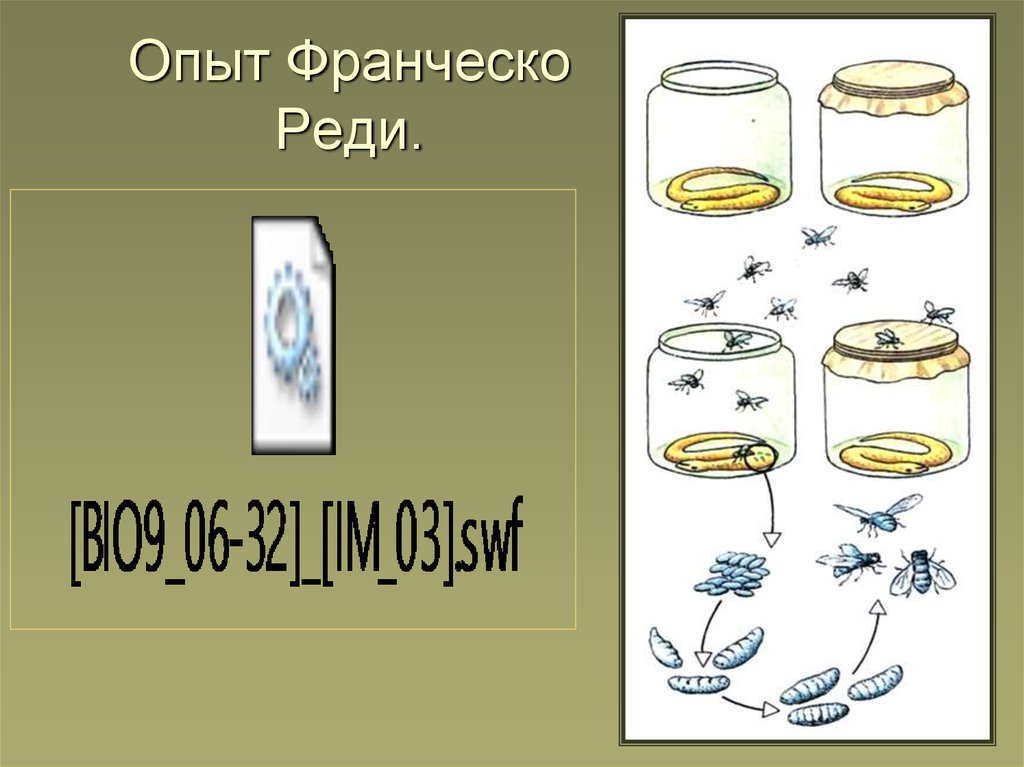 Абиогенез картинки для презентации