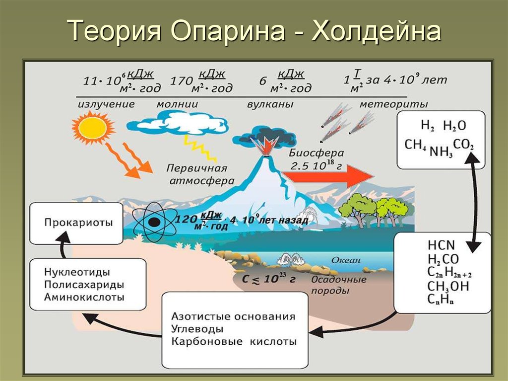 Теория биохимической эволюции презентация