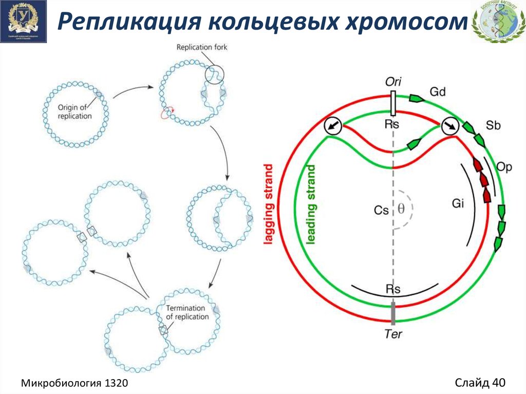 download developments in polymer characterisation