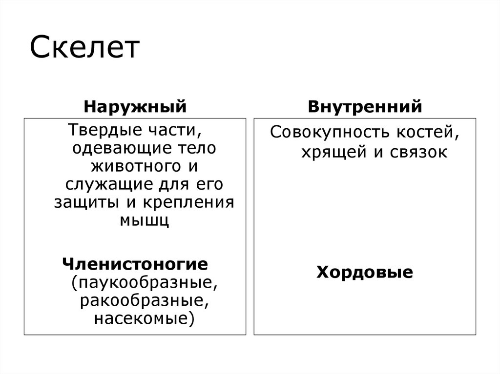 Структура эволюции