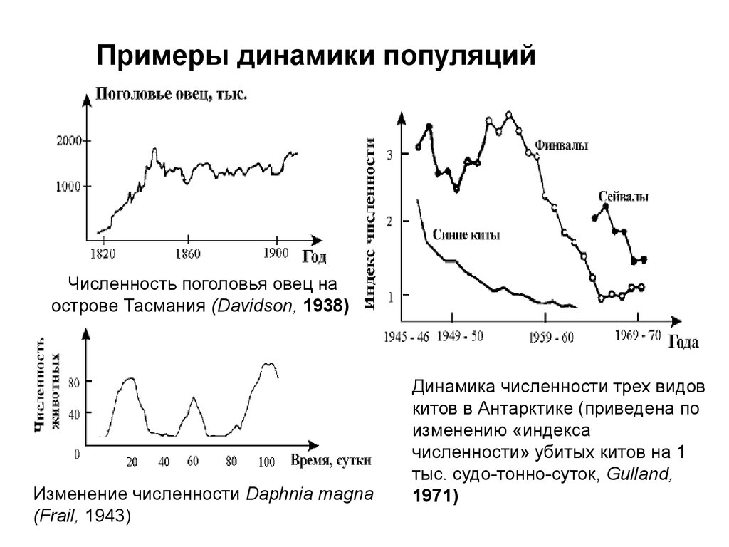 Пример динамики. Примеры динамики. Дискретные модели популяционной динамики. Постройте математическая модель динамики численности. Математическая теория динамики популяций.