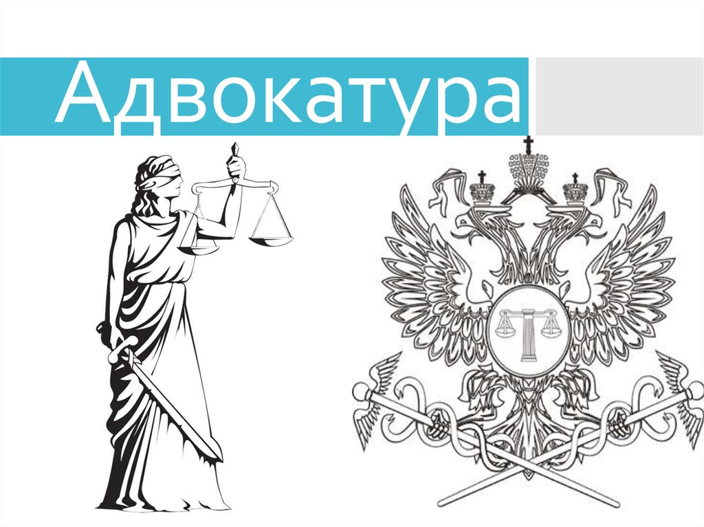 Адвокатура картинки для презентации