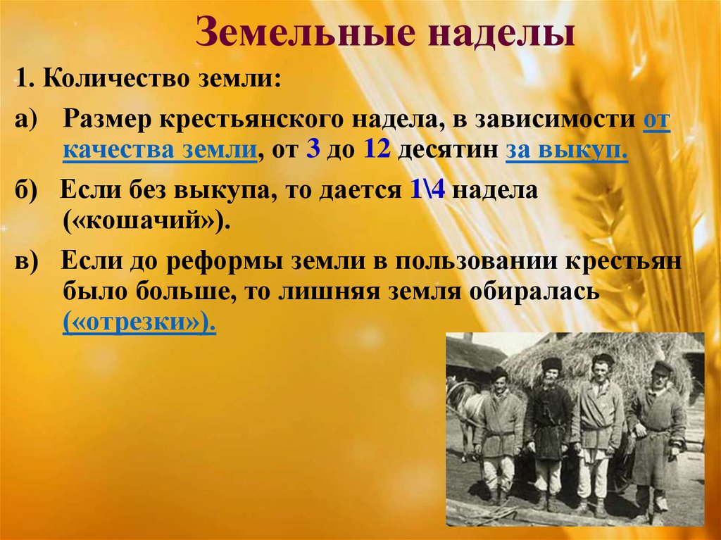 Надел земли. Размер земельного надела крестьян. Размеры крестьянского надела. Земельный надел. Размер выдаваемого земельного надела.