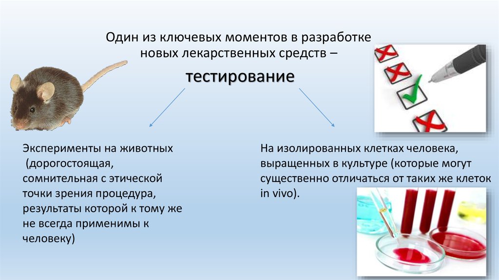 Аргументы животные. Тестирование лекарств на животных. Клинические испытания на животных. Лекарства тестируются на животных. Эксперименты на животных презентация.