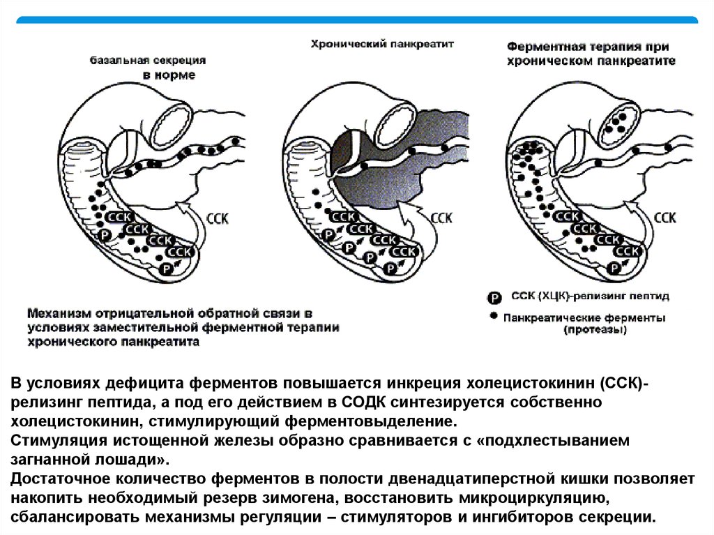 Панкреатит у собаки форум со схемой лечения