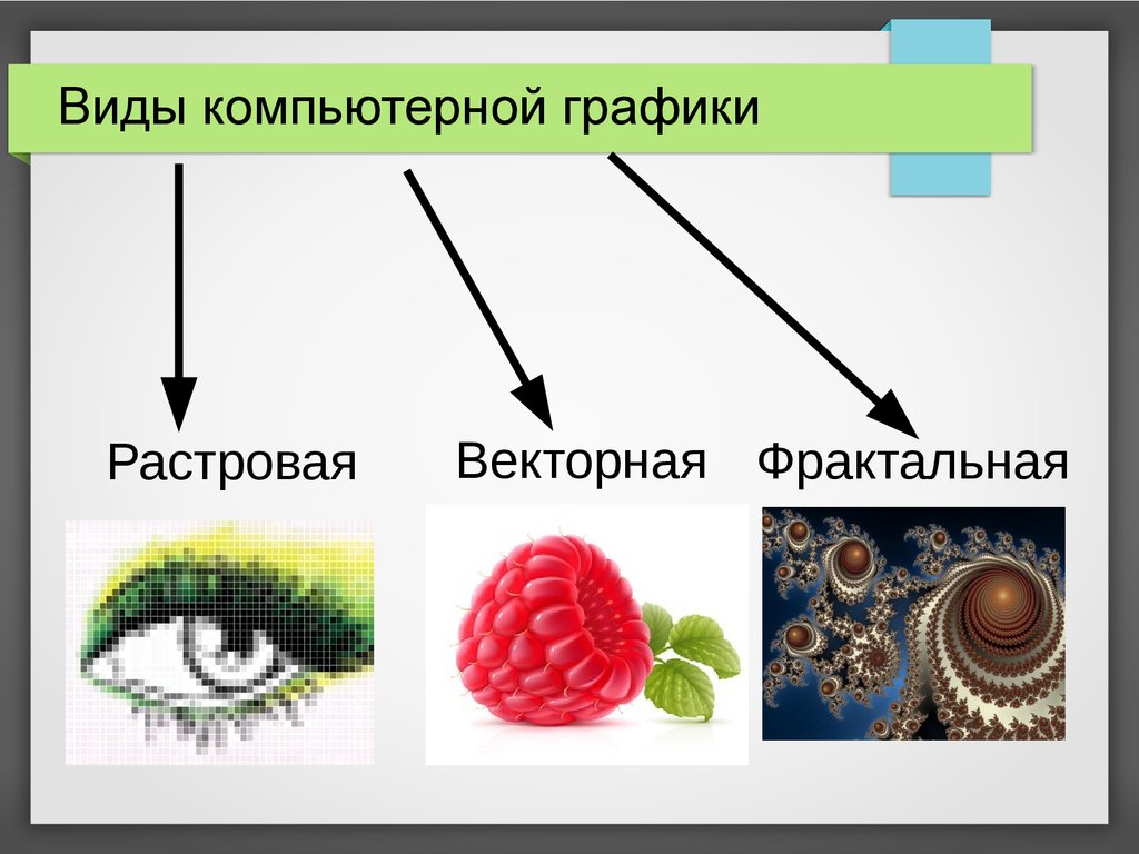 Установить какие изображения. Виды компьютерной графики. Виды компьютерной графики Растровая. Виды графики Векторная и Растровая. Растровая Векторная и Фрактальная Графика.