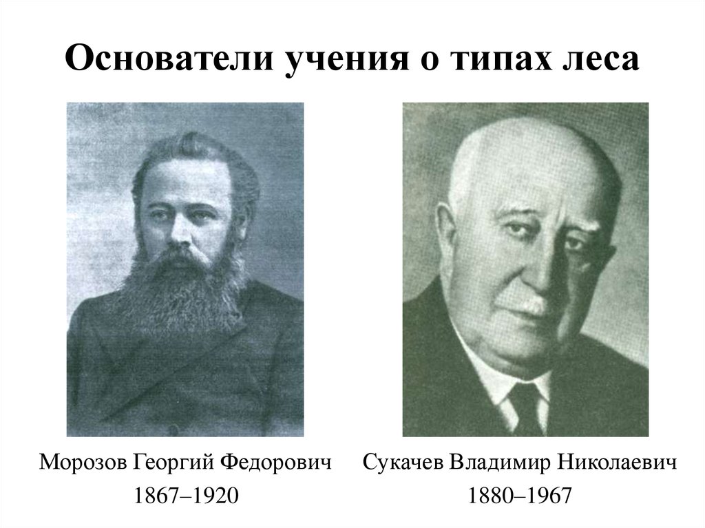 Основатель учения. Морозов Георгий Федорович (1867-1920). Учение в.н. Сукачева о типах леса. Учения в лесу. Основоположник ландшафтоведения.