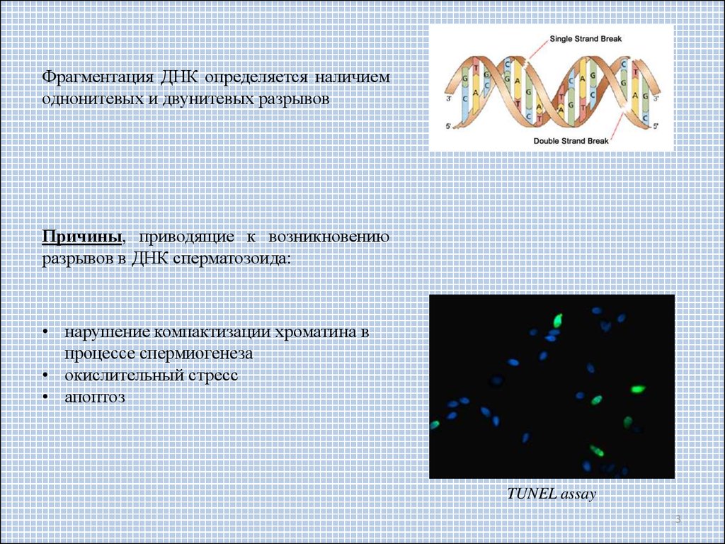 Elpub - комплексная поддержка и сопровождение научного журнала