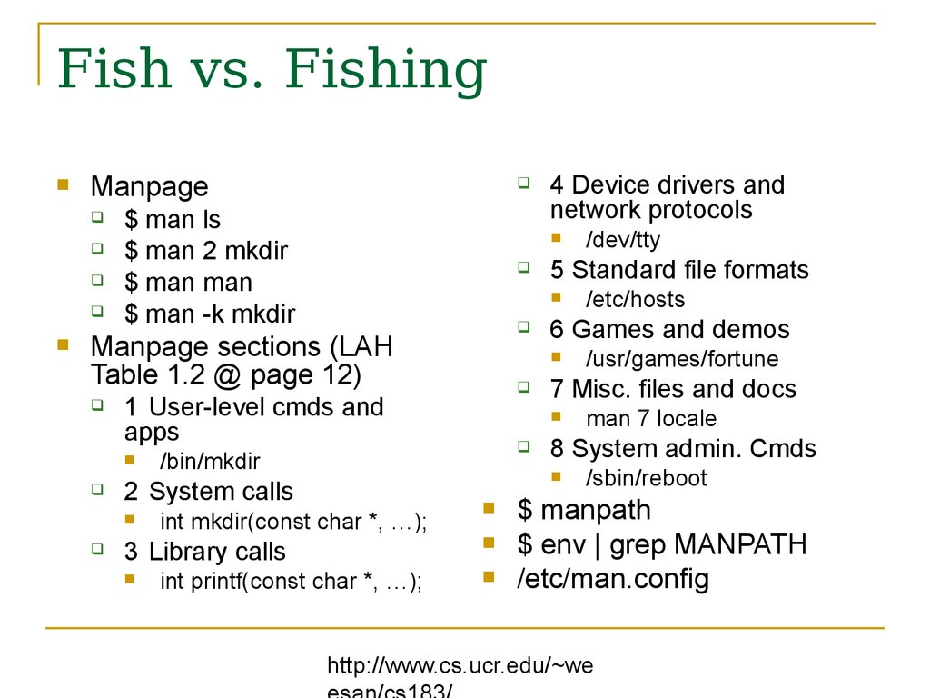 Fish vs. Fishing