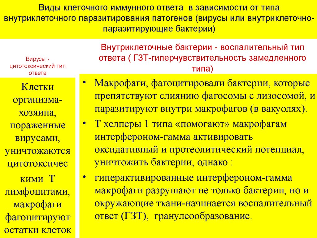 Особенности клеточного ответа. Клеточный цитотоксический механизм иммунного ответа. Этапы клеточного адаптивного иммунного ответа воспалительного типа. Клеточный воспалительный механизм иммунного ответа. Воспалительный т-клеточный иммунный ответ механизм формирования.