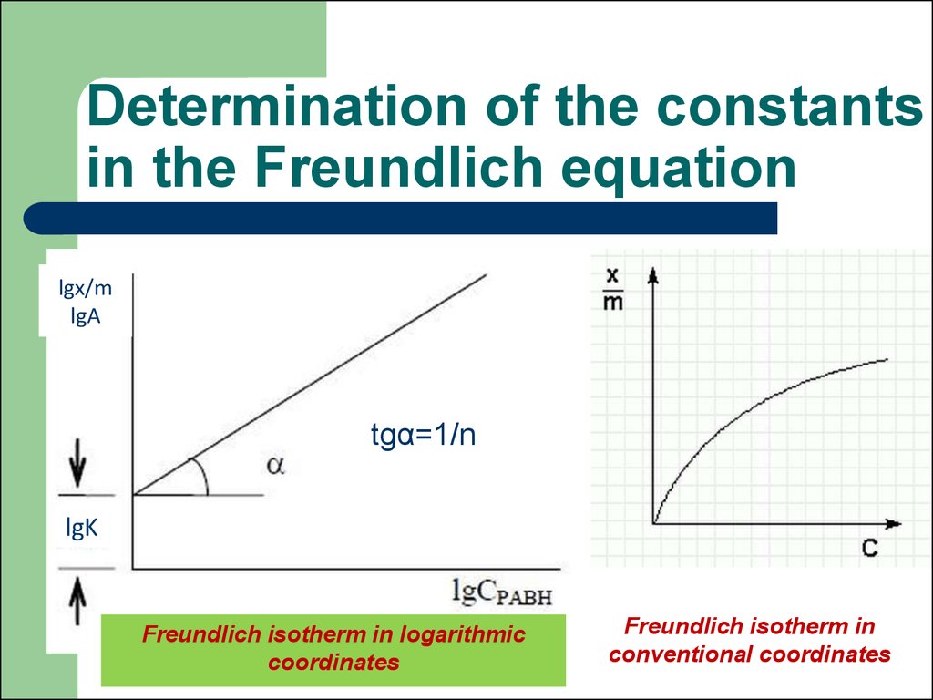 Determination of the constants in the Freundlich equation