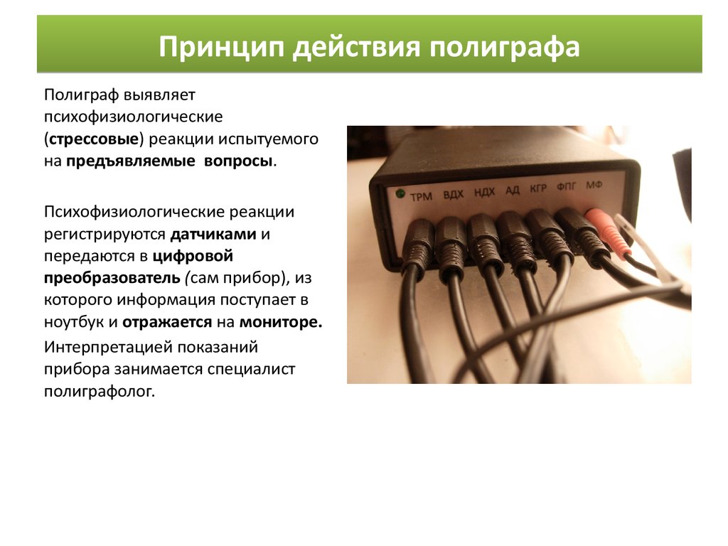 Вопросы на полиграфе. Принцип работы детектора лжи. Принцип действия полиграфа. Принцип работы полиграфа детектора лжи. Датчики полиграфа.