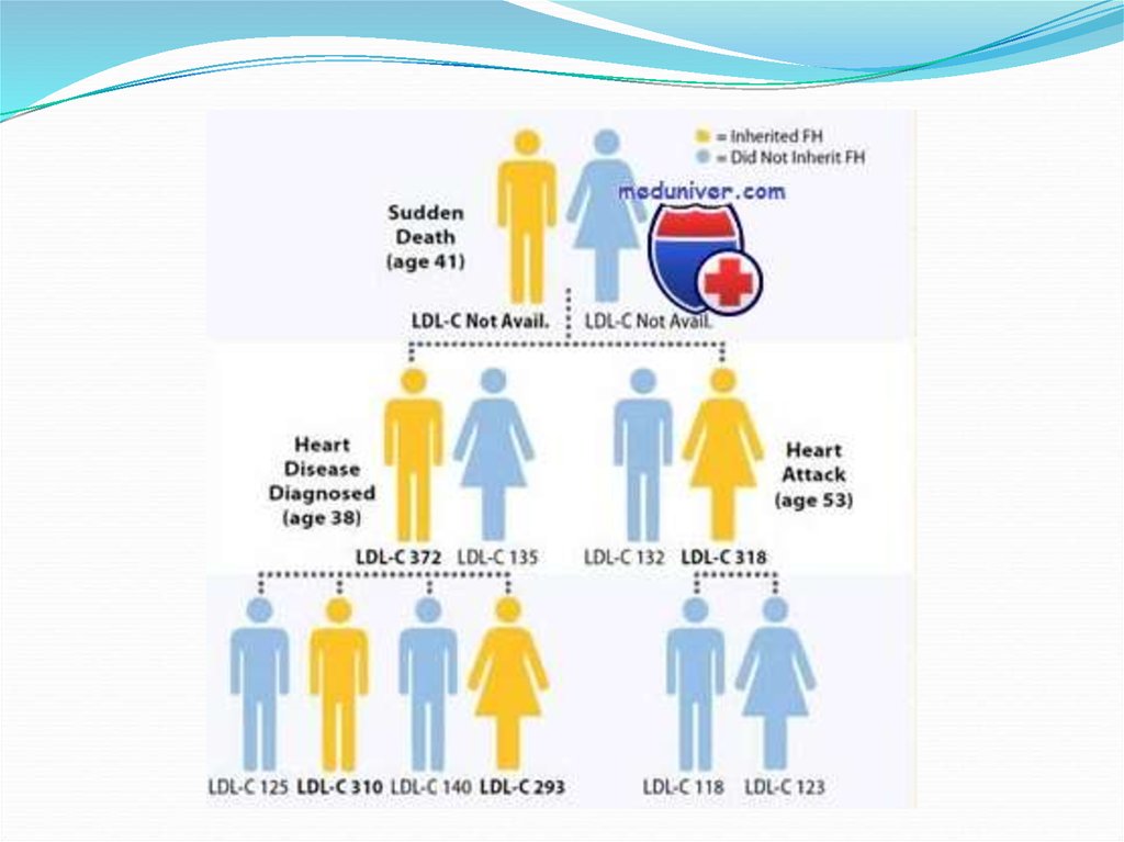Семейная гиперхолестеринемия презентация