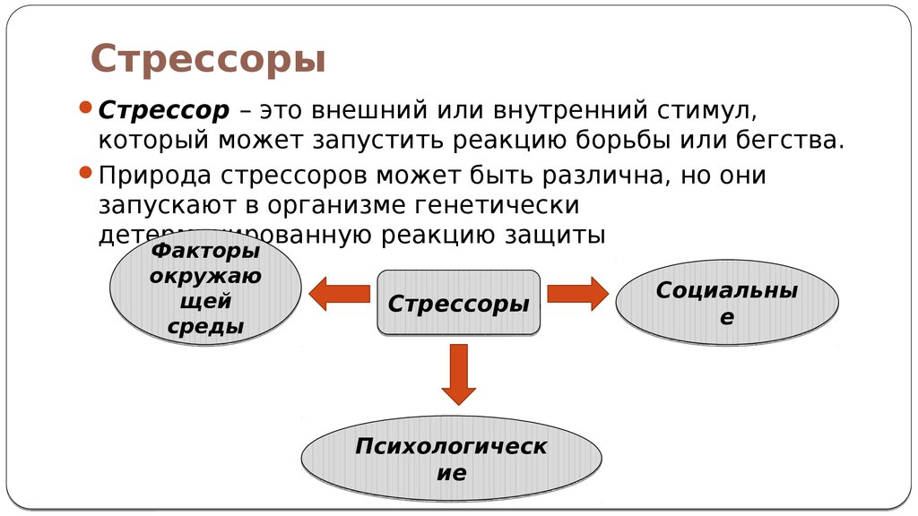 Биохимия эмоций презентация