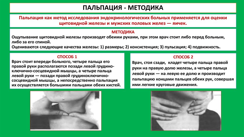 Пропедевтика эндокринной системы презентация