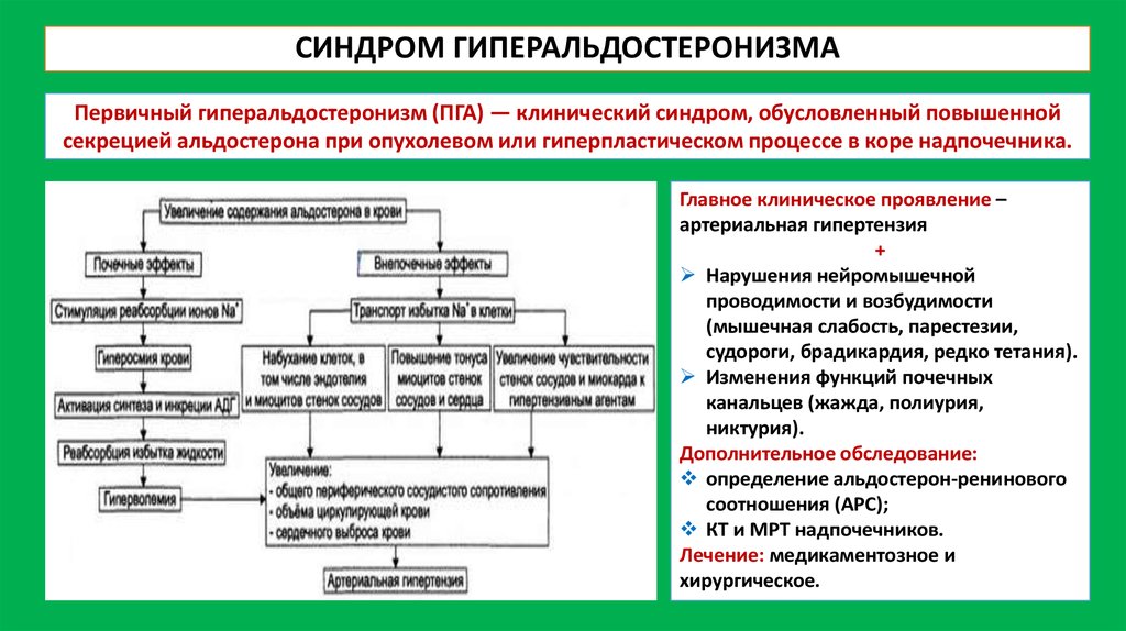 Патогенетические методы коррекции гипергликемии и гиперхолестеринемии схема