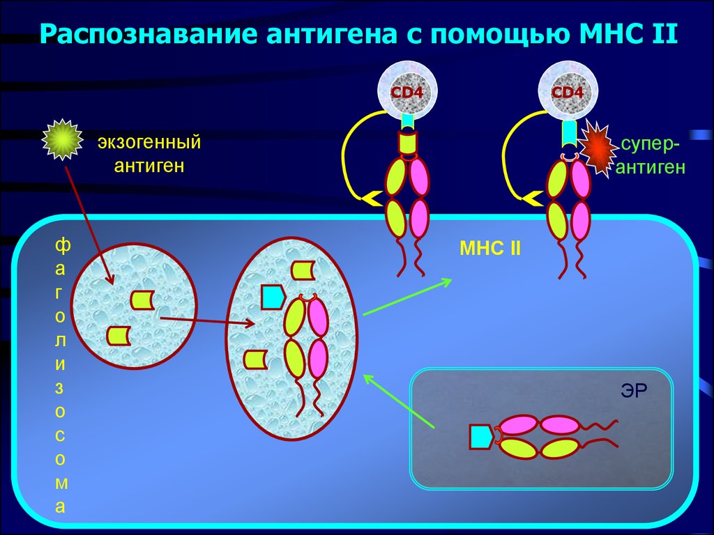 Первичный механизм