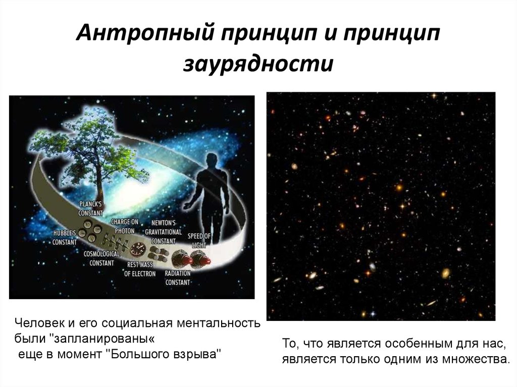 Что означает антропный принцип в современной научной картине мира