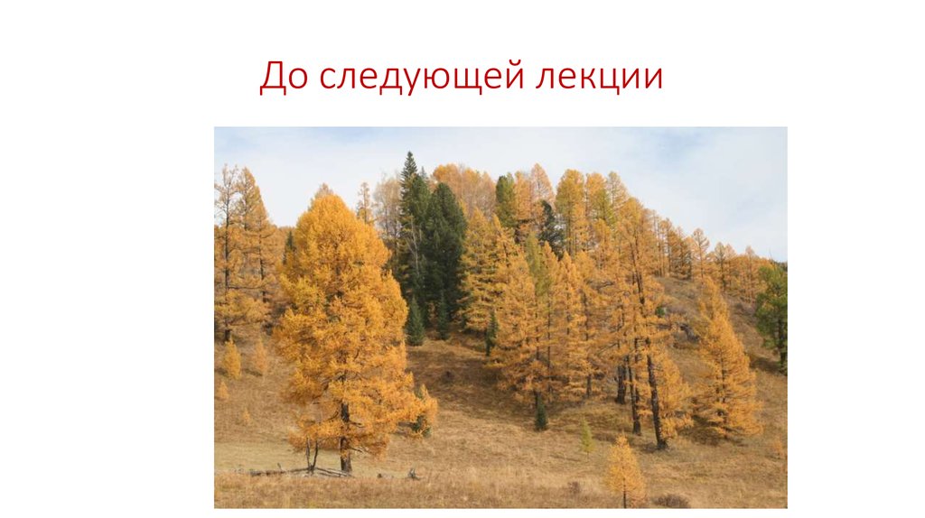 До следующей лекции