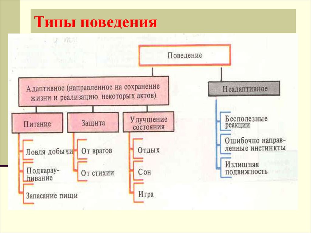 В любом виде поведения и