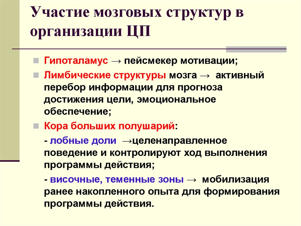 Целенаправленное поведение