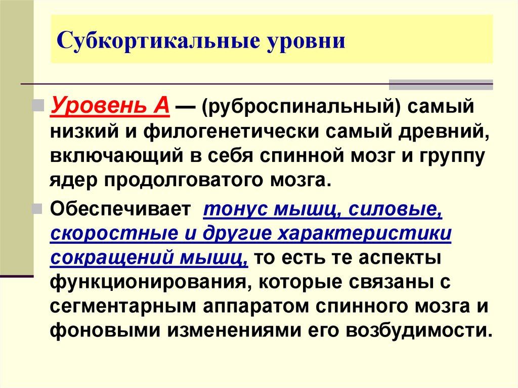 Уровни организаций движений. Субкортикальный уровень. Субкортикальные уровни построения движений:. Рубро-спинальный уровень. Уровни организации движений.