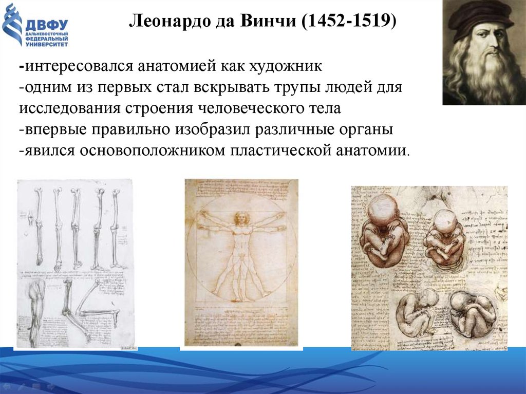 Презентация история развития анатомии