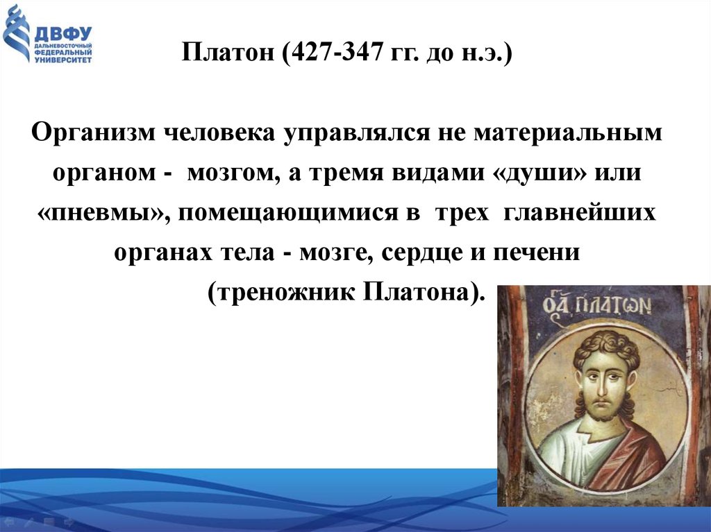 Платон уходи. Платон анатомия. Треножник Платона. Платон организм управляется анатомия. Вклад Платона в анатомию.