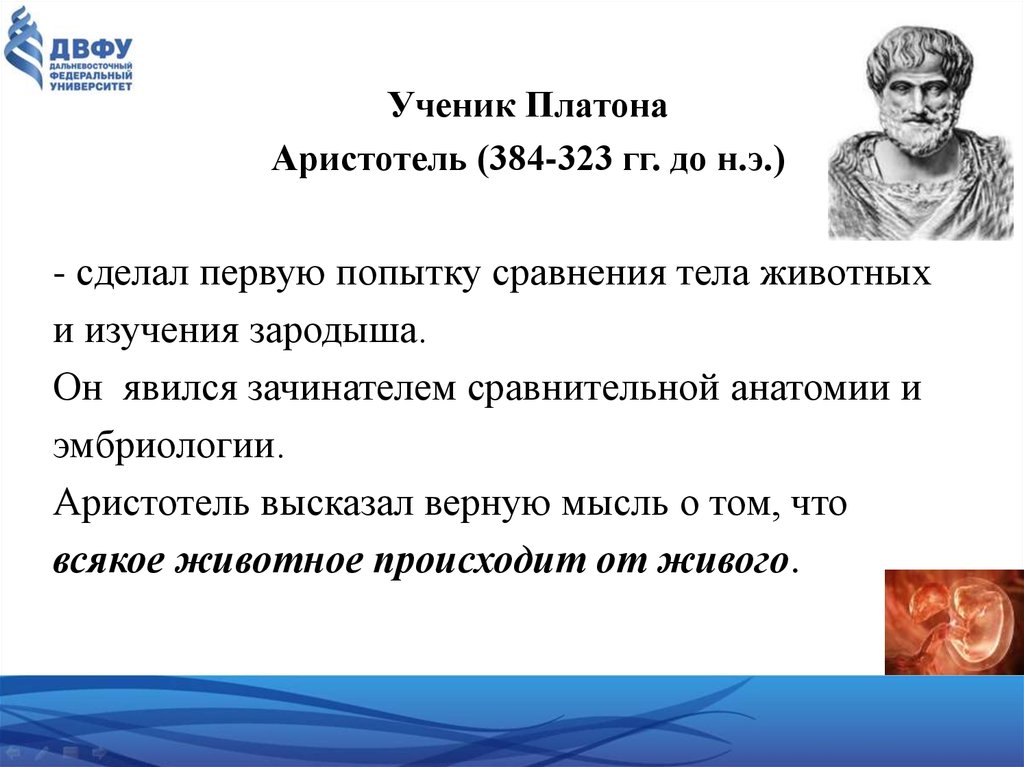 Платон медицина. Аристотель вклад в анатомию. Аристотель ученик Платона. Аристотель открытие в анатомии. Аристотель вклад в медицину.