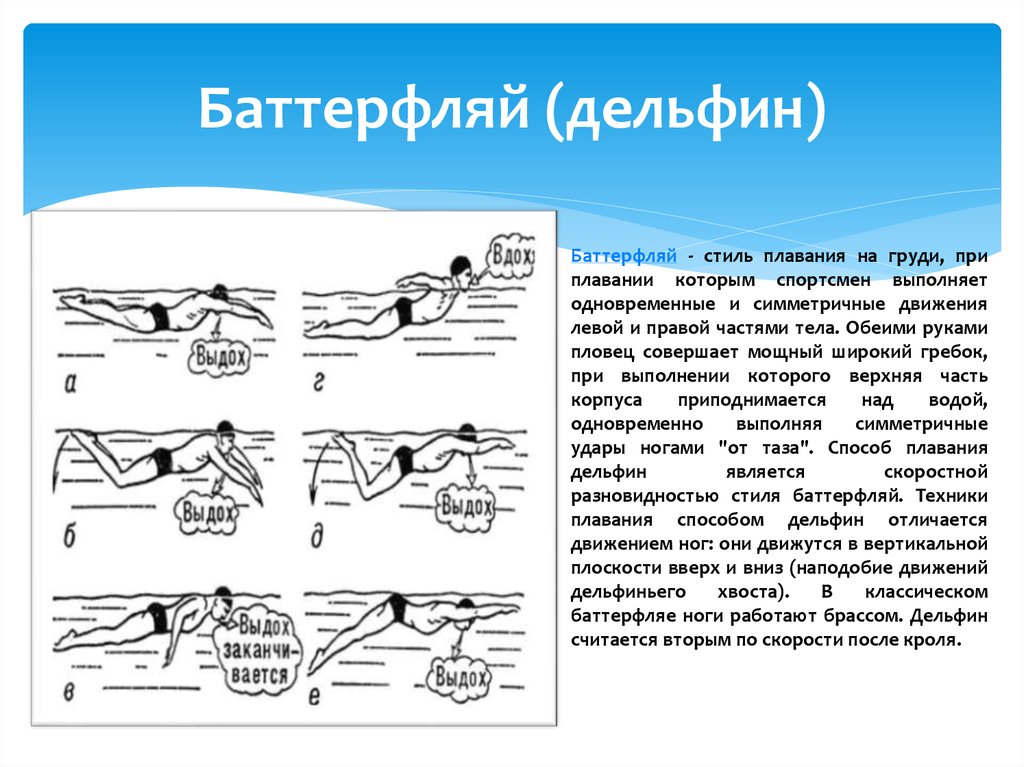 Какое движение в воде. Техники брасс Кроль Баттерфляй. Баттерфляй вид плавание техника. Стиль плавания брасс и Баттерфляй. Кроль брасс Баттерфляй техника.