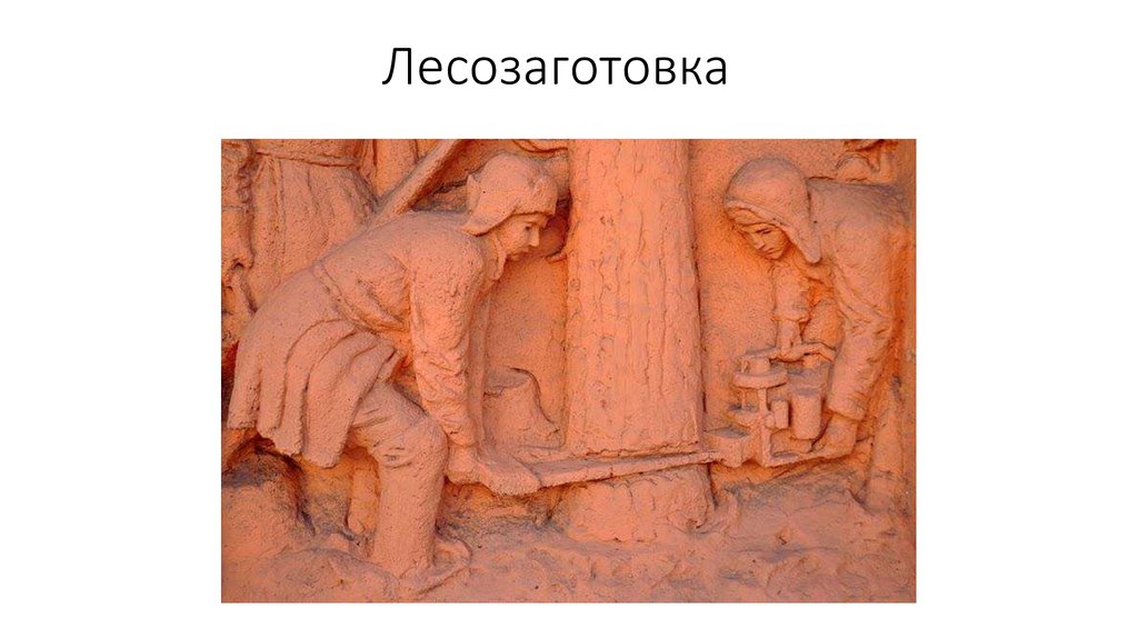Лесозаготовка