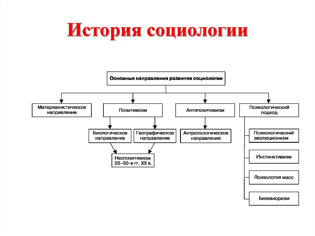 Социология в схемах и таблицах