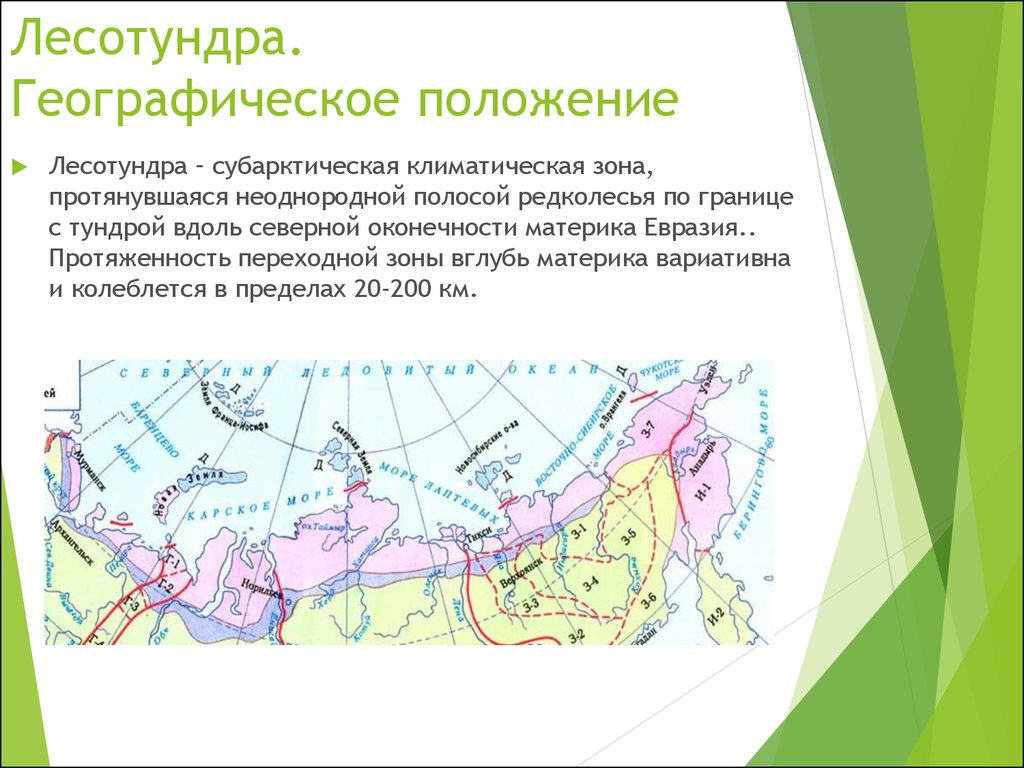 Зона тундры расположена между зоной и зоной. Географическое положение лесотундры в России на карте. Природная зона лесотундра на карте. Географическое положение зоны тундры и лесотундры в России. Тундра и лесотундра на карте природных зон.