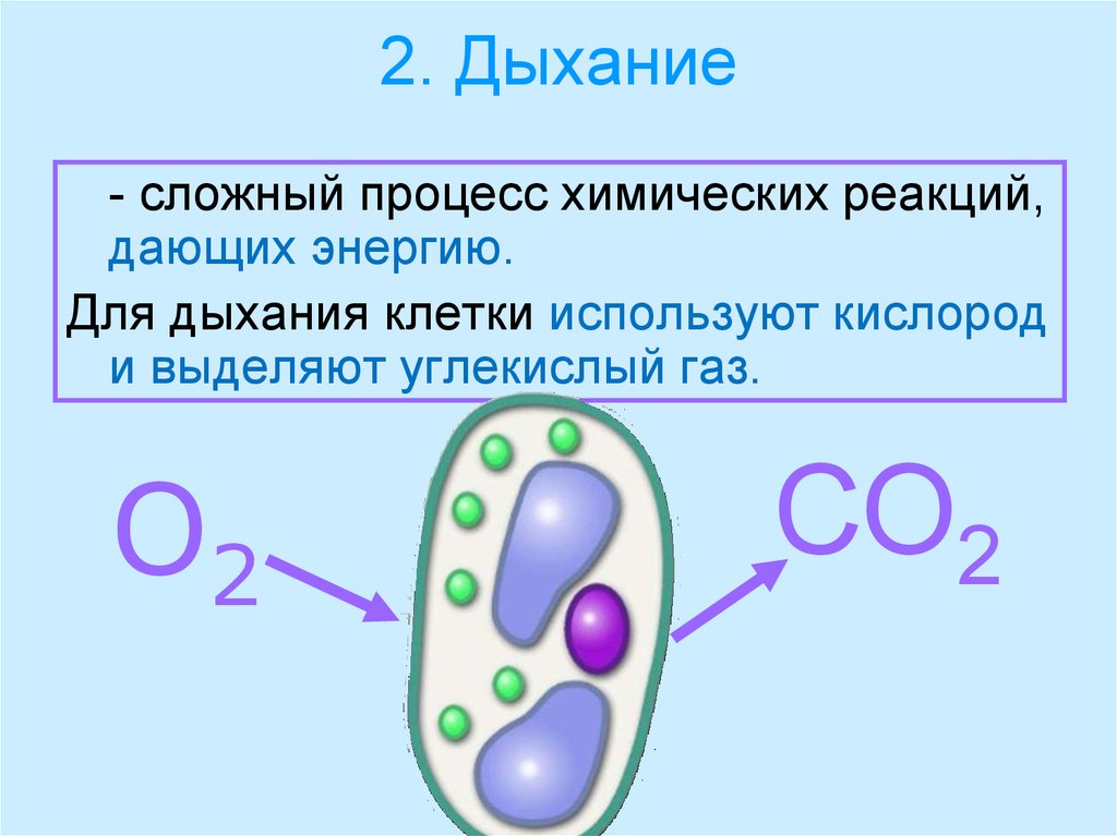 Сложное дыхание