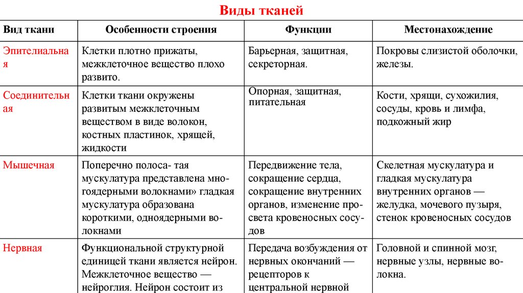 Типы тканей рисунки человека