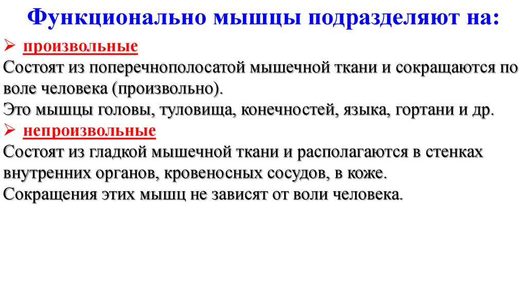 Непроизвольные числа. Произвольное сокращение мышц. Произвольные и непроизвольные сокращения. Произвольные и непроизвольные мышцы. Какая мышечная ткань сокращается произвольно.