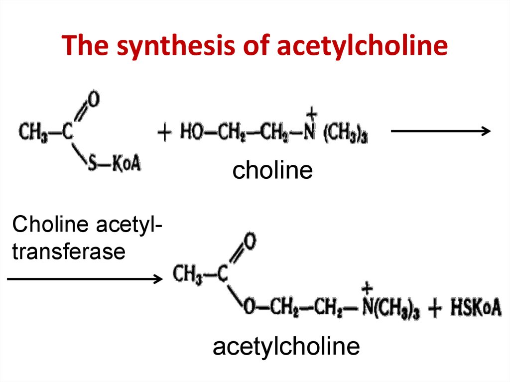 Lipid Metabolism Part 2 Online Presentation 8740