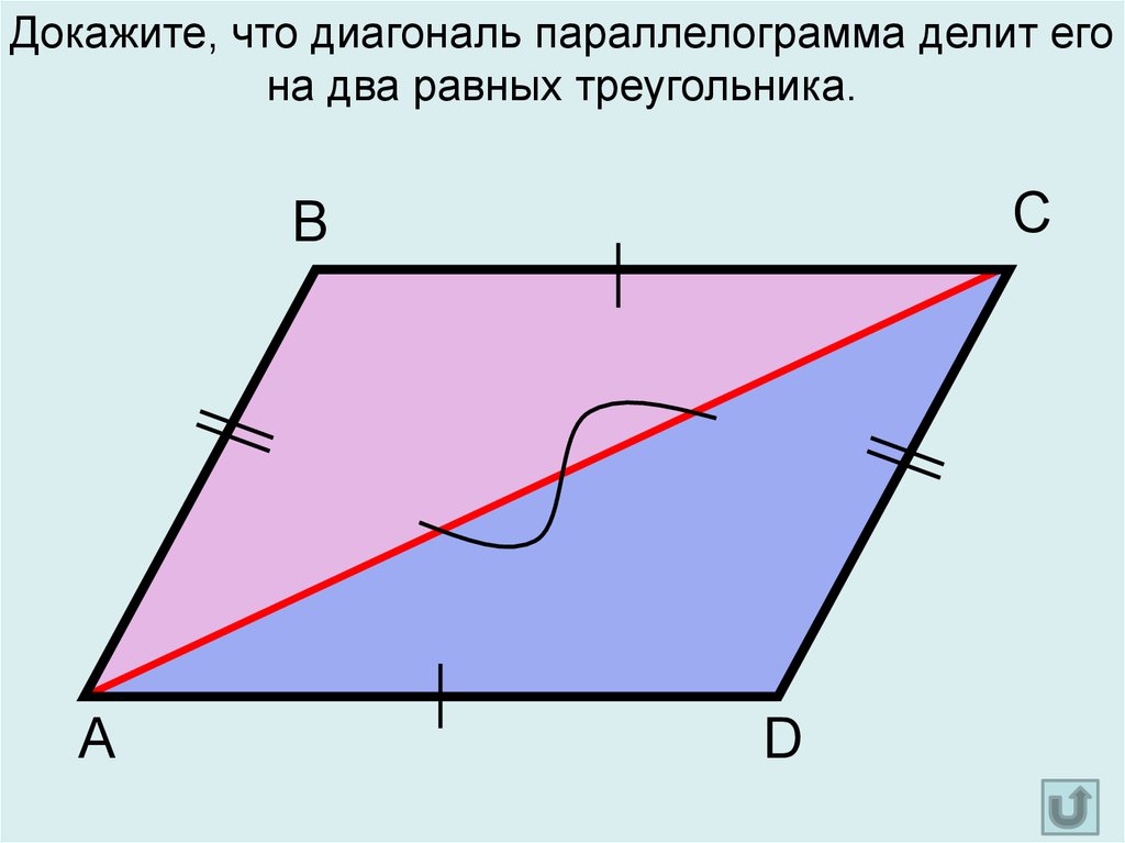 Два треугольника вне параллелограмма. Параллелограмм. Диагонали параллелограмма. Диагональ параллелограмма делит его на два. Равнобедренный параллелограмм.