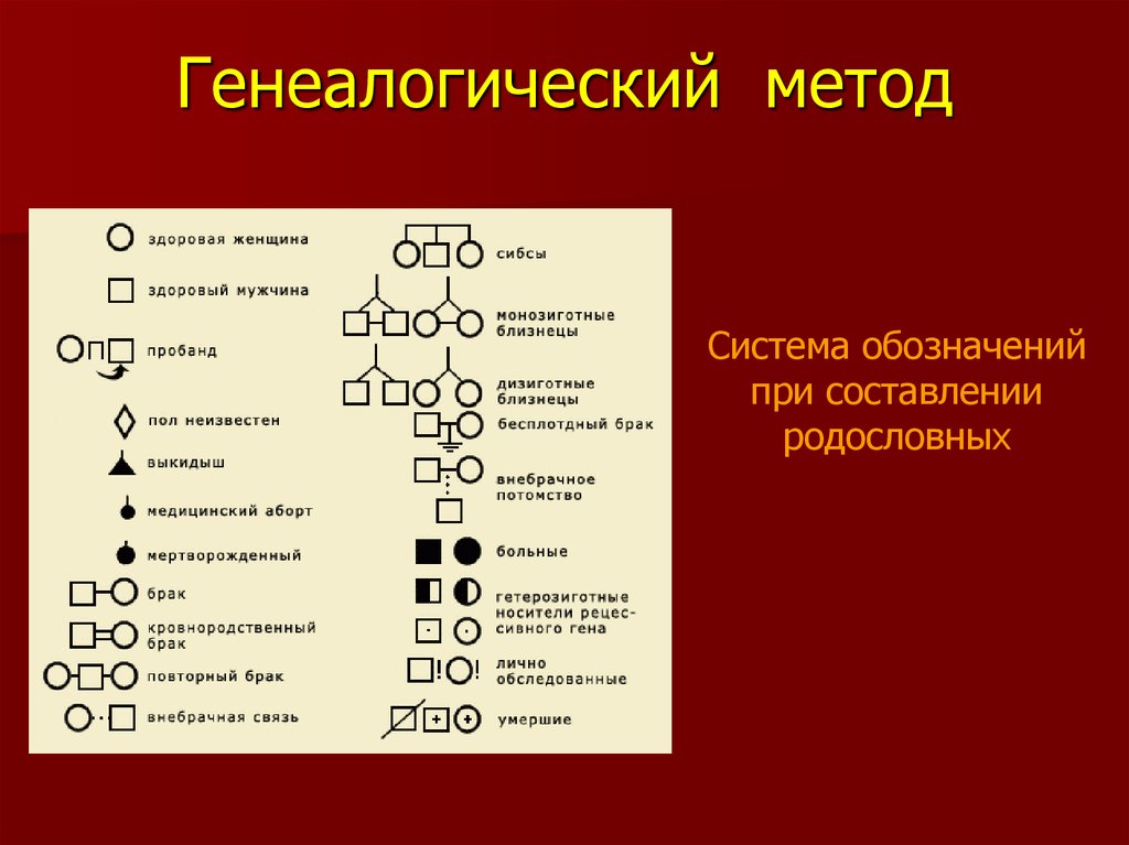 Составление родословной. Родословная генетика пробанд. Клинико генеалогический метод пробанд. Генеалогический метод наследование леворукости. Что такое клинико-генеалогический метод исследования.