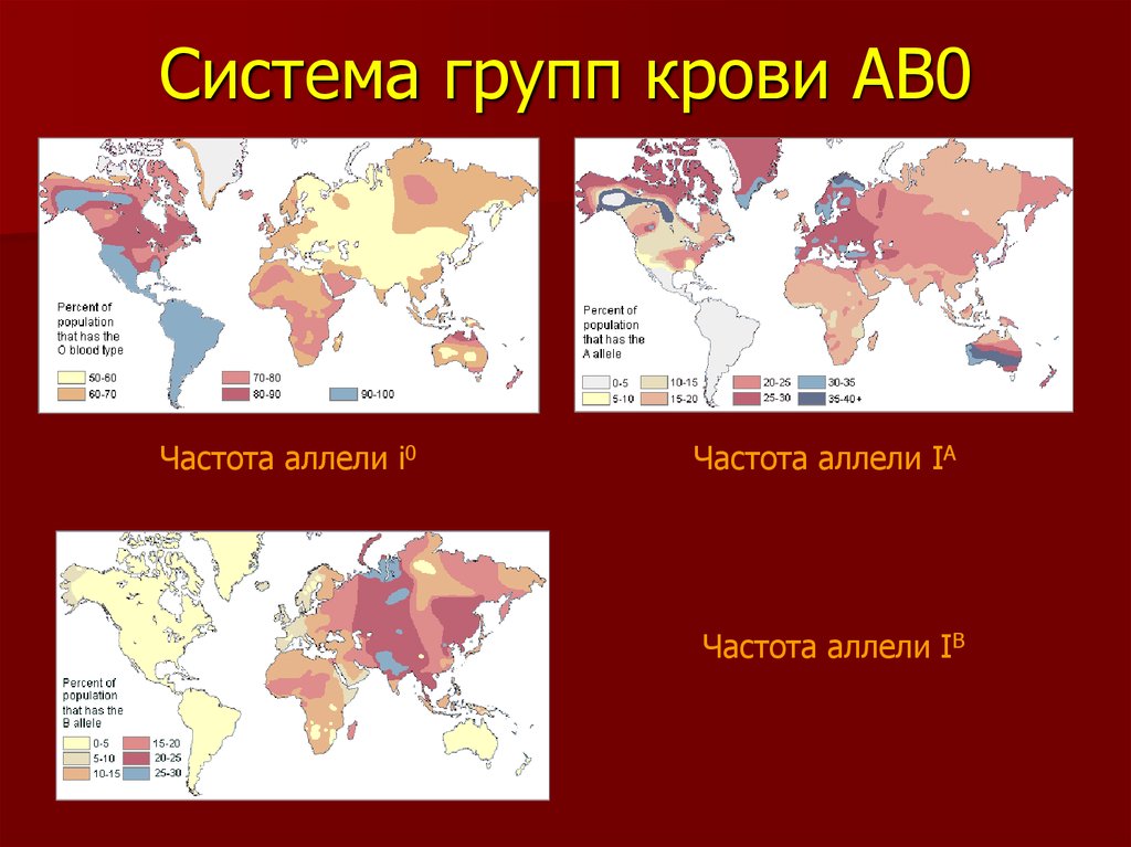 Карта осу группа крови