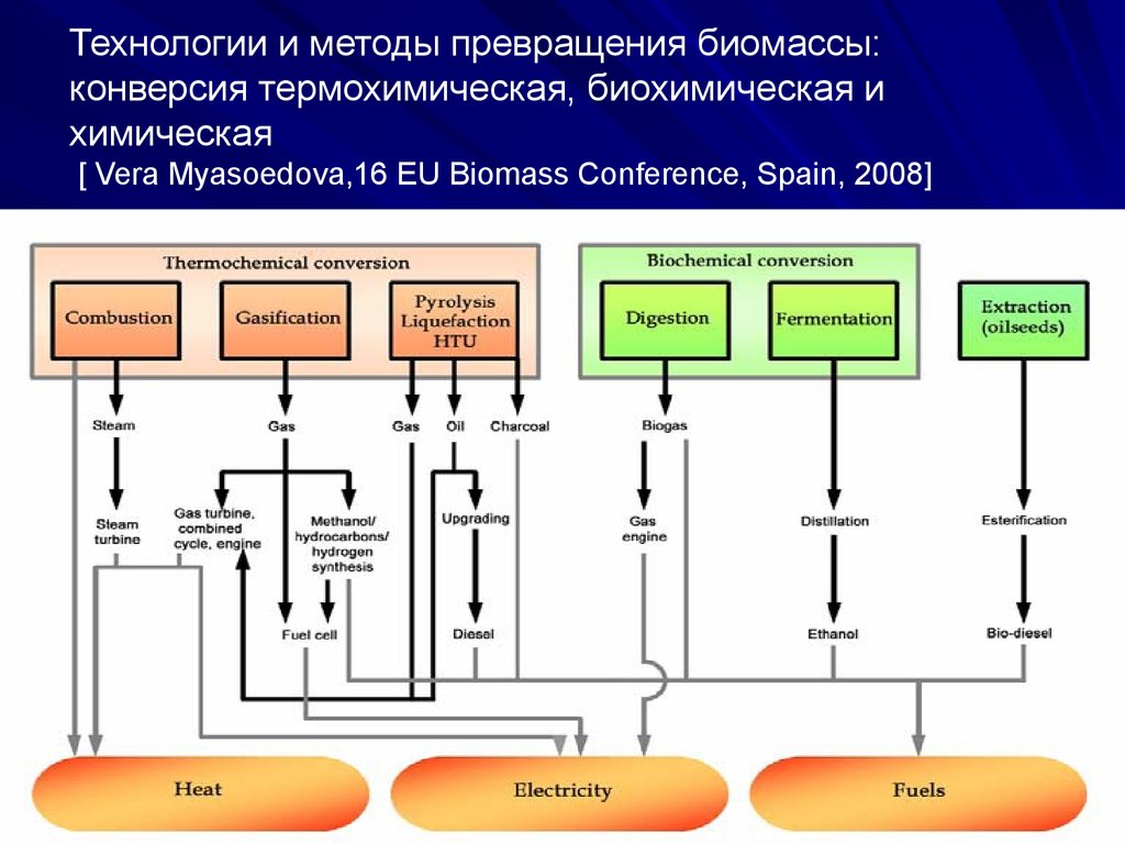 Технологии и методы превращения биомассы: конверсия термохимическая, биохимическая и химическая [ Vera Myasoedova,16 EU Biomass Conference, Spain, 2008]