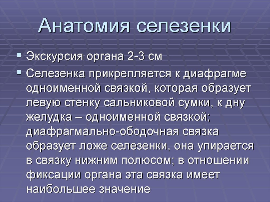 Болезни селезенки. Ультразвуковая анатомия селезенки. Селезенка психосоматика. Психосоматика болезней селезенки. Спленомегалия психосоматика.