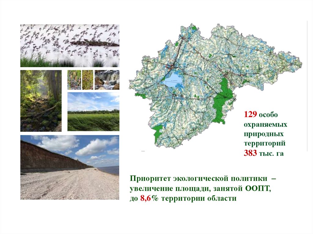 Область окружить. ООПТ Новгородской области на карте. Экологическая карта Новгородской области. Экология Новгородской области. Особо охраняемых природных территорий Новгородской области.