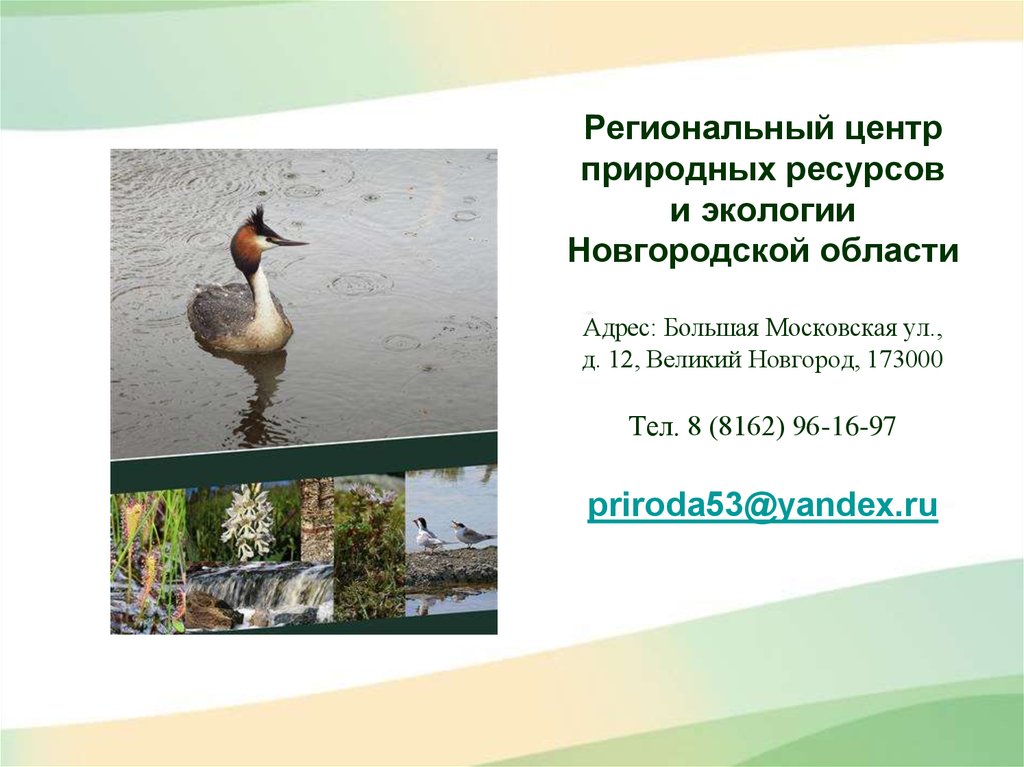 Сайт экологии и природных ресурсов. Экология Новгородской области. Великий Новгород природные ресурсы. Ресурсы Новгородской области. Природные ресурсы Новгородской области.